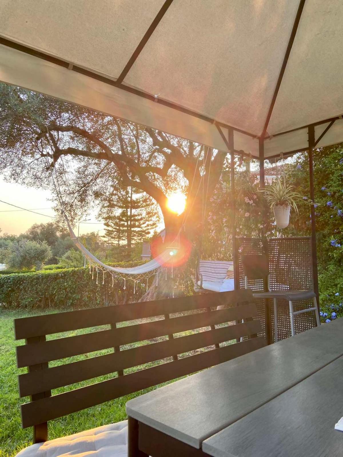 プラタリアSunny Gardenアパートメント 部屋 写真
