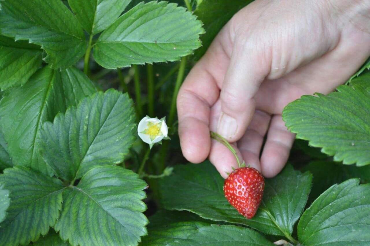 プラタリアSunny Gardenアパートメント エクステリア 写真